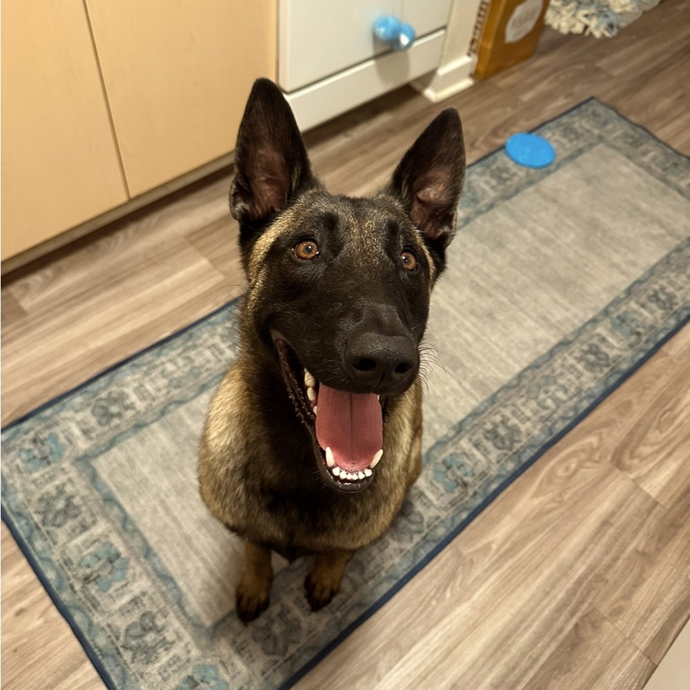 Meet your Posher, Rach